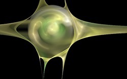 Apo7x-130911-1 (2).jpg